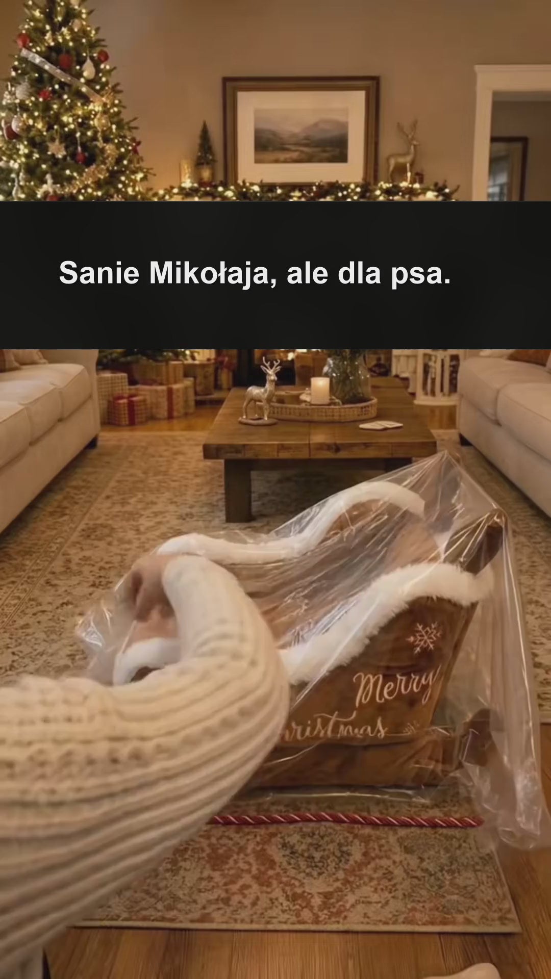 Legowisko-sanki dla psa